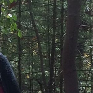 Meet your Posher, Amira